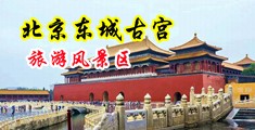 麻豆影视我干漂亮嫂子好爽好舒服中国北京-东城古宫旅游风景区